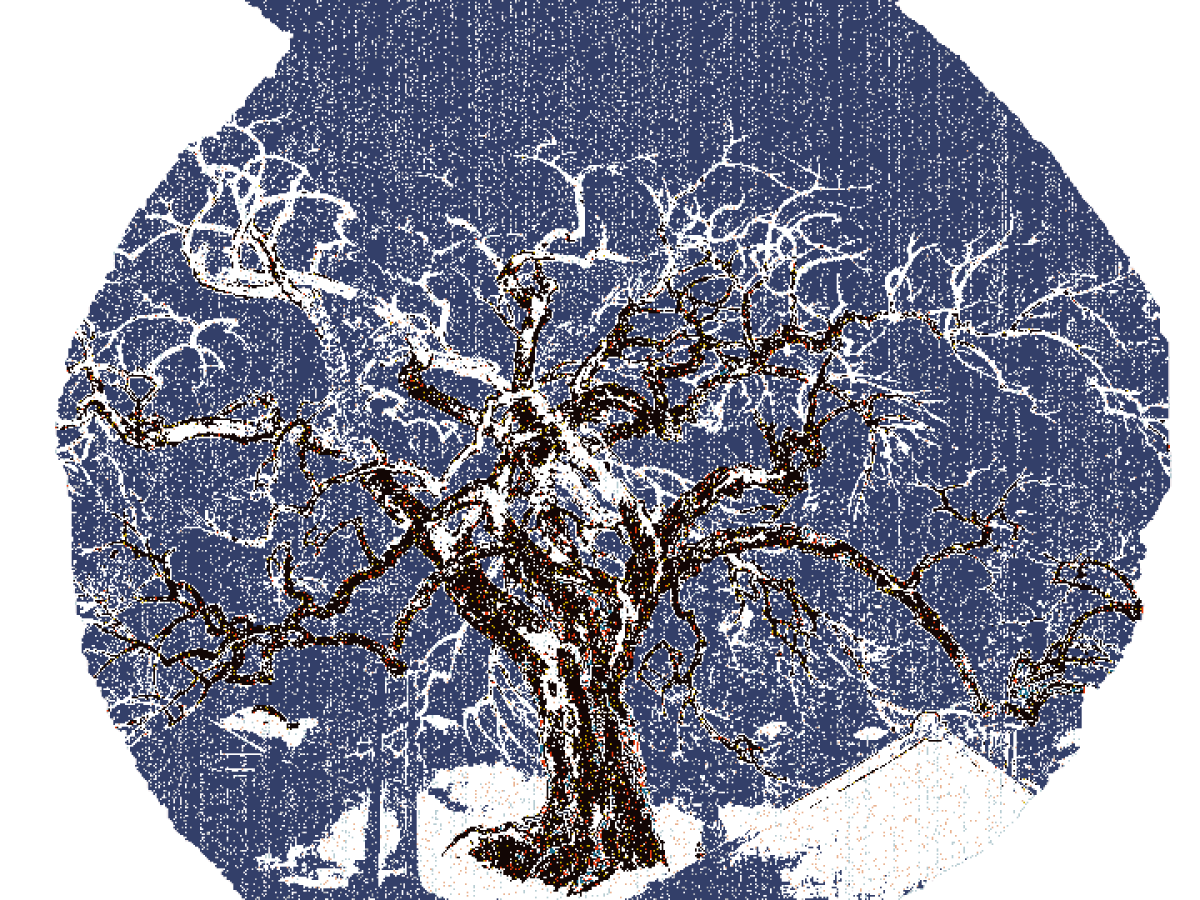 The Fated Game of&nbsp;Life